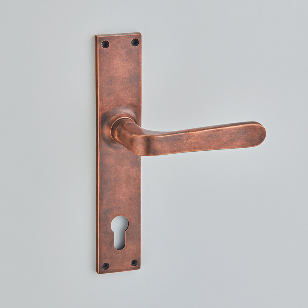 Garde Multipoint Door Handle