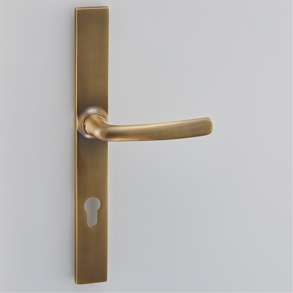 Floe Multipoint Door Handle on Classic Backplate