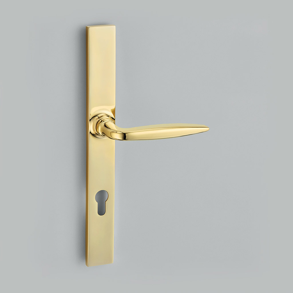 Maine Multipoint Door Handle on Classic Backplate